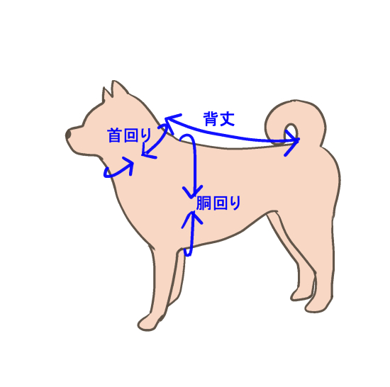 犬用ドレス採寸箇所